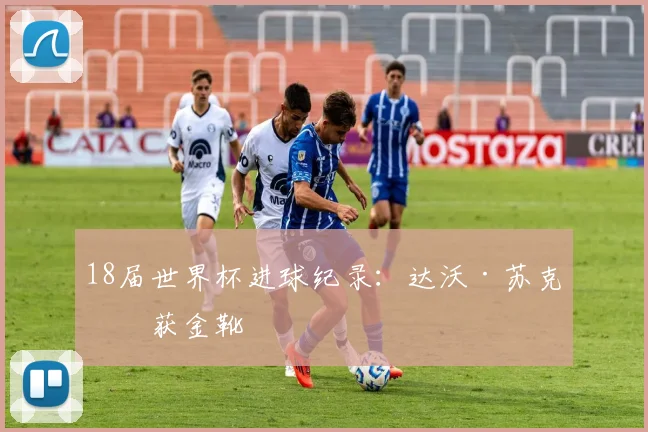 18届世界杯进球纪录：达沃·苏克斩获金靴